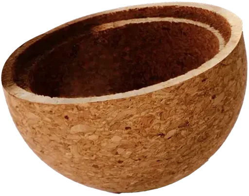 未來膠囊 下蓋
